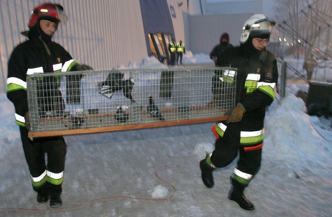 An archival photograph of rescue operations from January 2006. (PAP/Andrzej Grygiel)