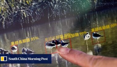 Hong Kong beefs up environmental impact reviews with AI, laser-armed robot dogs