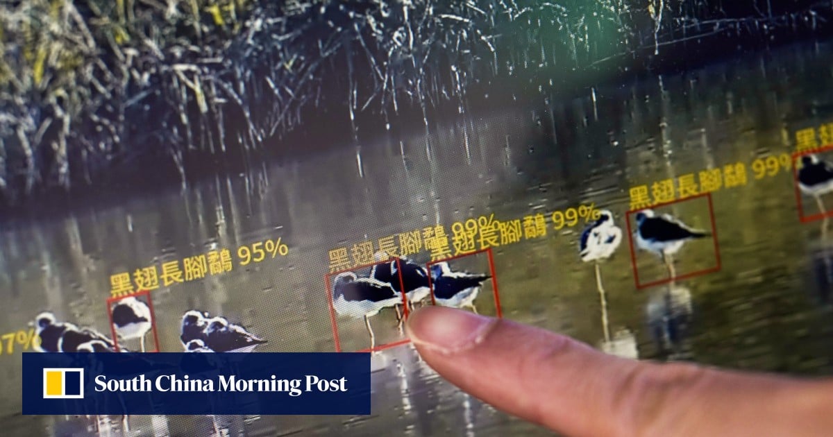 Hong Kong beefs up environmental impact reviews with AI, laser-armed robot dogs