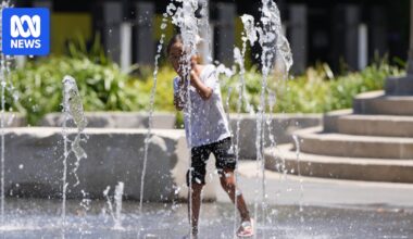 Day-by-day weather guide to most severe southern Australia heatwave in years