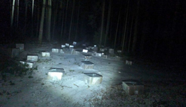 Lithuanian border guards found a batch of cigarettes worth 260 thousand euros on the border with Belarus