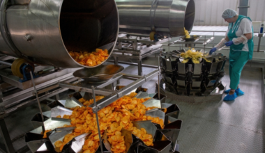 Belarus Became the Main Buyer of Russian Chips