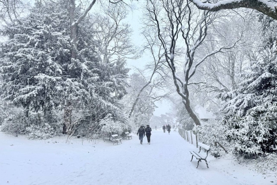 Europe paralyzed by snow, while powerful cyclone "Ulli" approaches Belarus. Drifts up to 40 cm and frosts down to -25°C expected