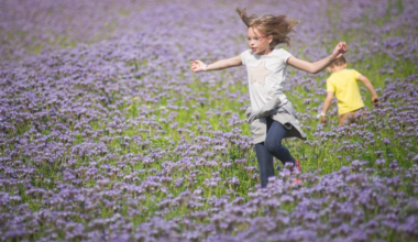 "You're Cut From a Different Cloth." How to Remain Belarusian Abroad and Raise Children as Such