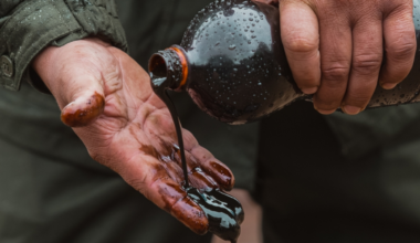 What place does Belarus hold in the world for oil reserves?