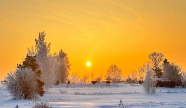 Belarus — one of the coldest countries in the world