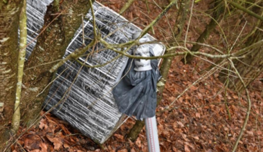 Aerial objects from Belarus again detected in Poland