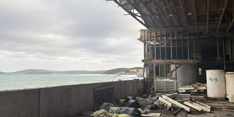 St. Mary's Town Council Advising Residents Closest to Fish Sauce Plant to Evacuate