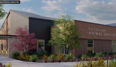 Lodi Animal Services expands shelter space with new facility set to open in March