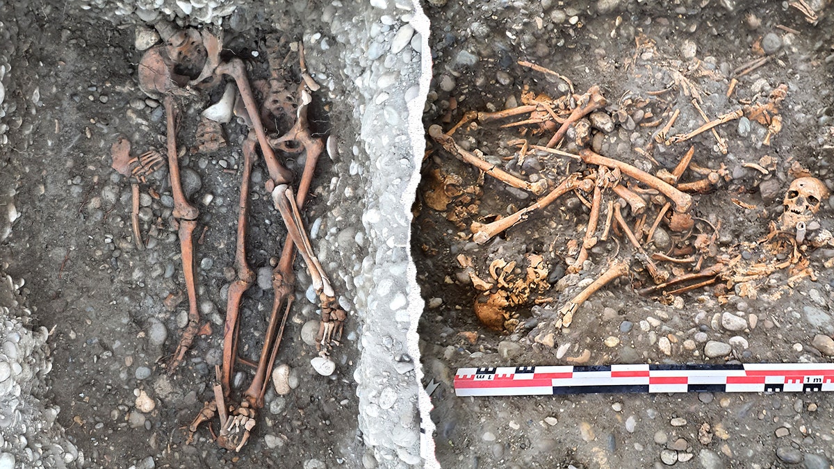 Split image of skeletons dumped into graves