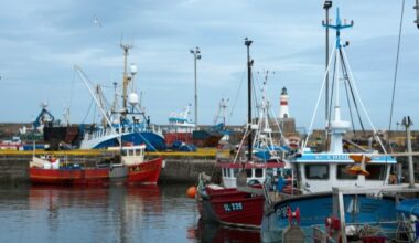 With the news that the UK, Norway and the EU have agreed Total Allowable Catches (TACs) for the six jointly managed stocks in the North Sea The UK government has announced a further £3.9 million will be awarded to seven UK Seafood Fund projects across the UK