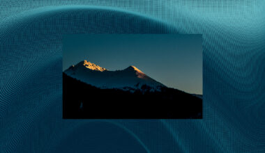 Six questions shaping the investment landscape