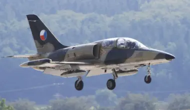 The Czech government did not support the transfer of L-159 aircraft to Ukraine