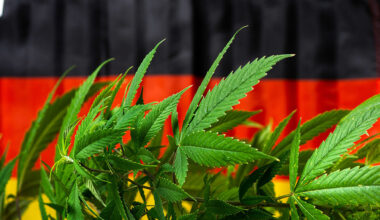 Germany’s Emerging Cannabis Industry by the Numbers