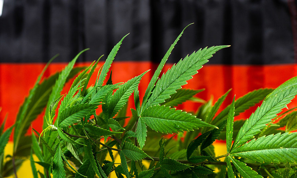 Germany’s Emerging Cannabis Industry by the Numbers