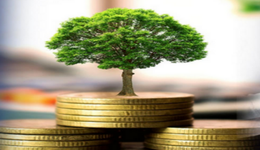 "Transition risk a danger to financial stability"