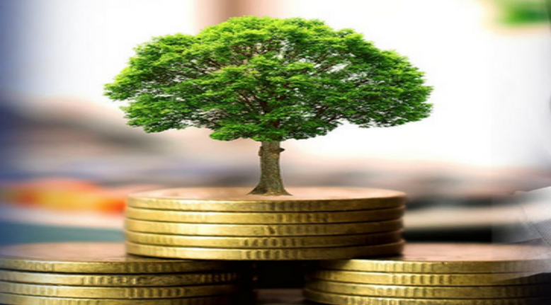 "Transition risk a danger to financial stability"