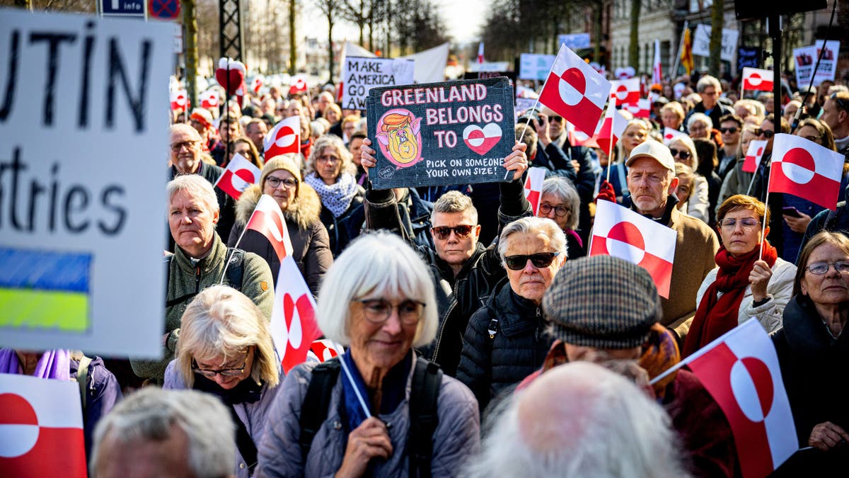 Greenland demonstrators