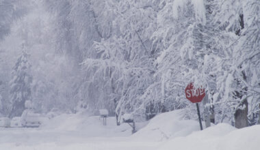Itt a havazás második hulláma, Magyarország szinte teljes területe érintett