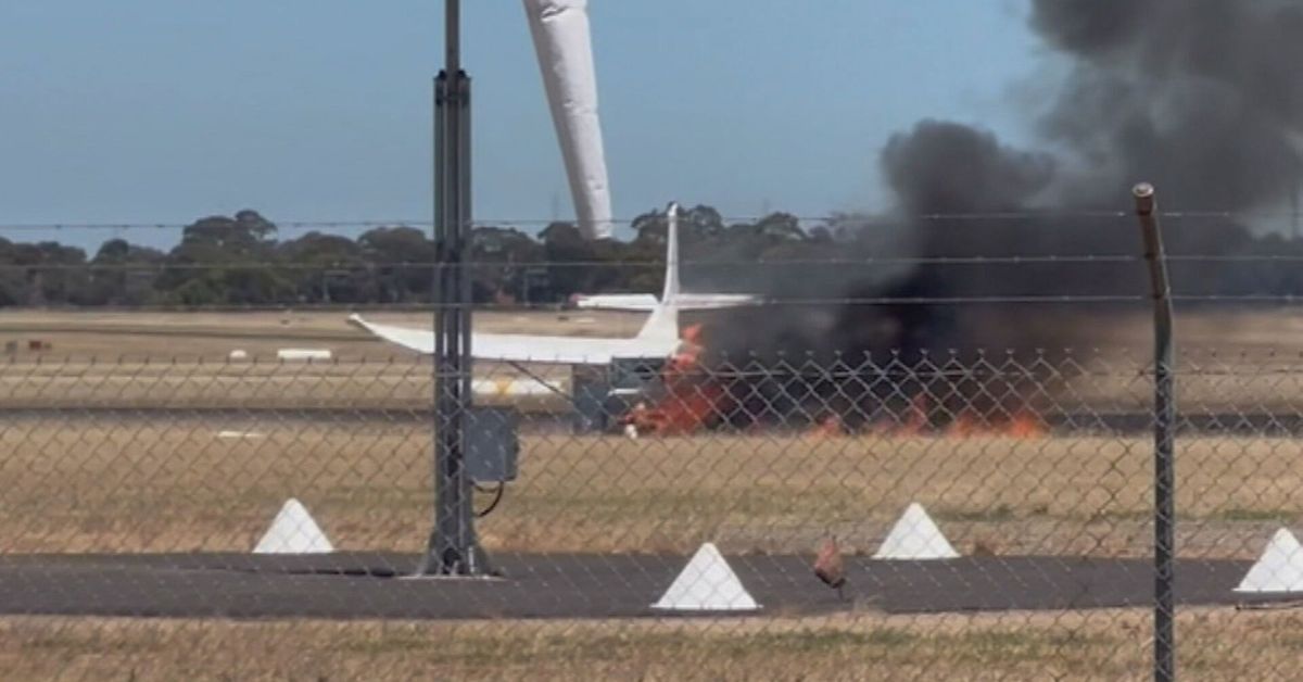 Pilot escapes injury after light plane crash in Adelaide - 9News.com.au