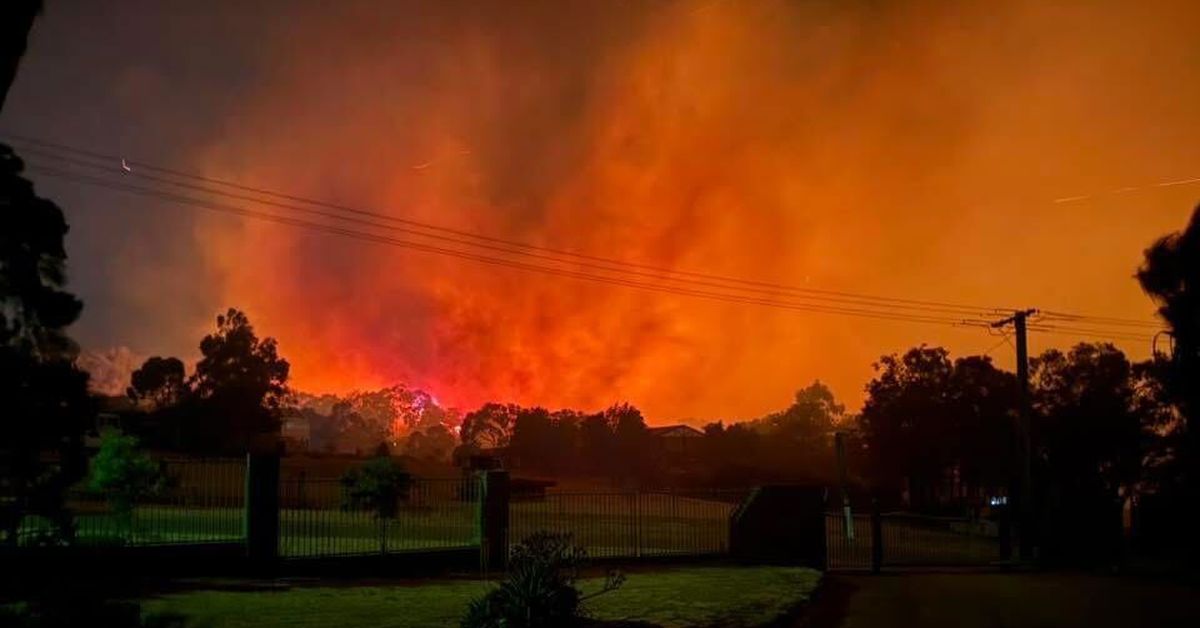 Teen charged after firecracker sparks serious bushfire during NYE celebrations
