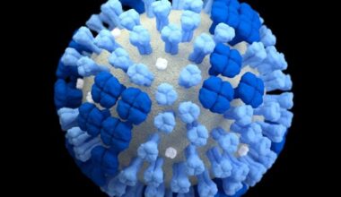 Influenza in Croatia in the 2025/2026 season