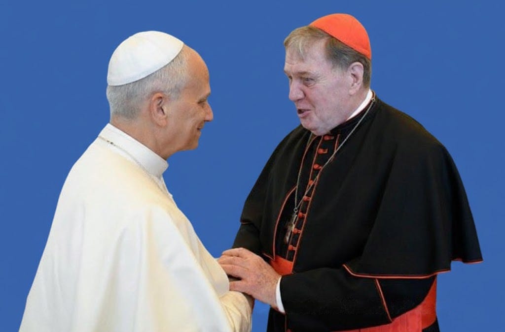 Pope Leo’s Top U.S. Ally Says ‘No’ to Funding ICE