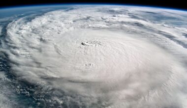 Trump Wrecked Climate Policy in a Year. Can We Ever Go Back?