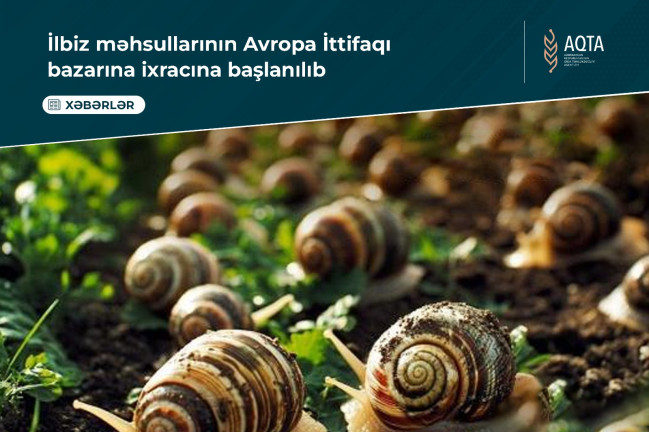 Azerbaijan set to export its Salyan plant-grown snails to EU
