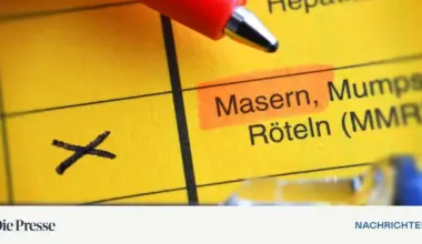 Masern gelten in Österreich nicht mehr als eliminiert – DiePresse.com