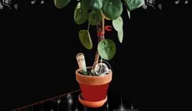 Bitwise CIO Identifies Gold Surge and Clarity Act's Fate as Key Crypto Market Drivers