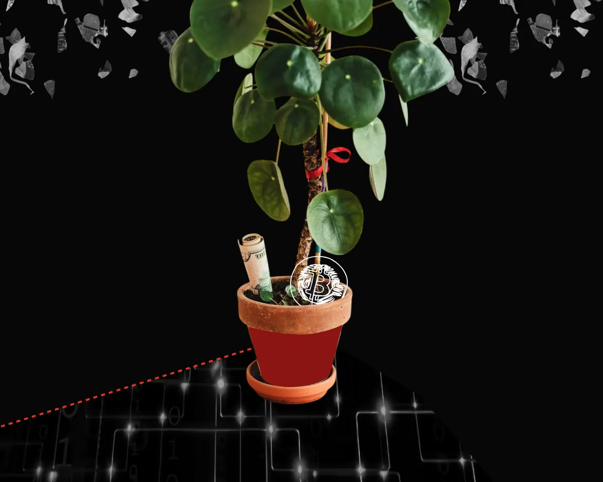 Bitwise CIO Identifies Gold Surge and Clarity Act's Fate as Key Crypto Market Drivers