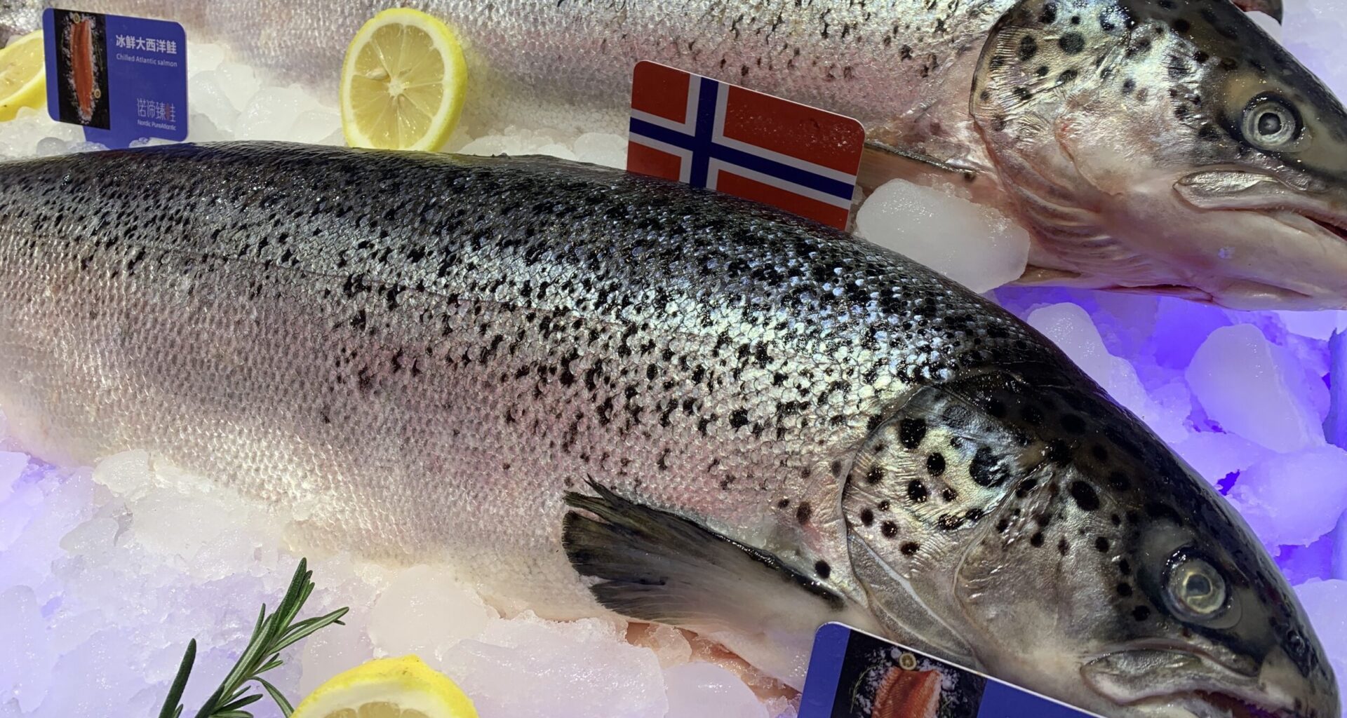Booming China, US trade saw Norway's seafood exports pass $18bn in 2025