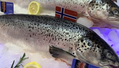 Booming China, US trade saw Norway's seafood exports pass $18bn in 2025