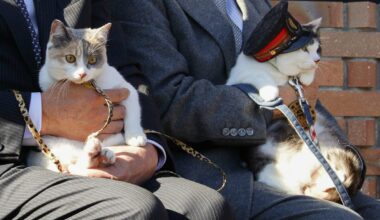 Japan railway names 3rd cat stationmaster