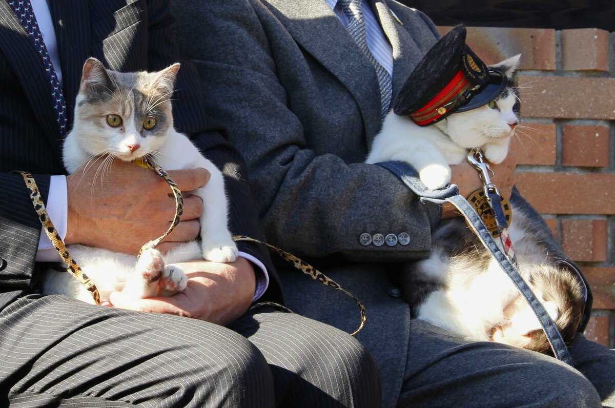 Japan railway names 3rd cat stationmaster