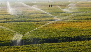 How to improve Chinese farmers’ resilience to climate change