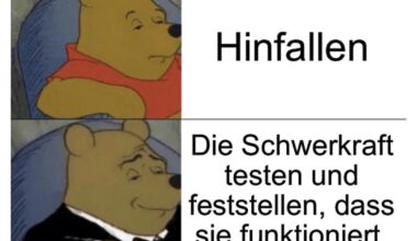 Ich_iel