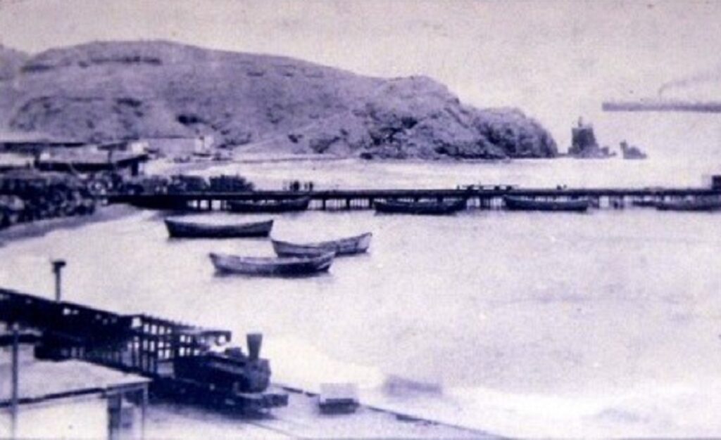 japanese migration latin america