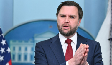 Vance said ICE will go 'door-to-door' to check immigration status