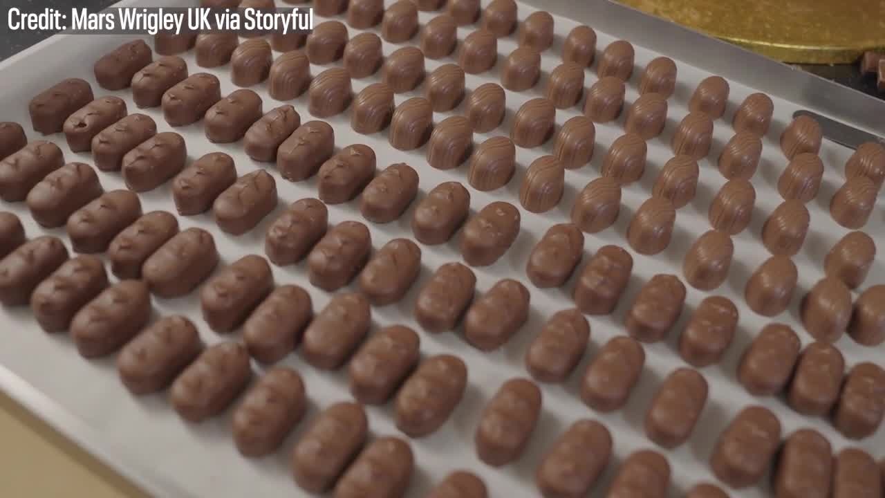 Master chocolatier makes King Charles bust out of chocolate