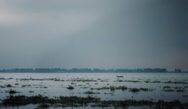 A photo shows dark clouds gathering near Chilmari, Bangladesh, in July 2024 (Kabiur Rahman Riyad/Unsplash)