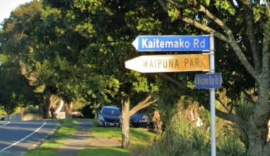 Girl, 14, in hospital after being hit by car amid Tauranga party