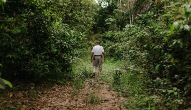 Man walking through jungle