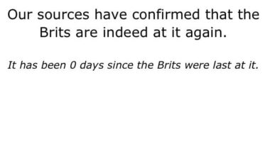 It's the year 500,000,000 AD. Planet Earth was destroyed by a huge comet collision 450 million years previously.