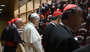Survivors praise pope's words during consistory that not welcoming abuse victims is 'scandal'