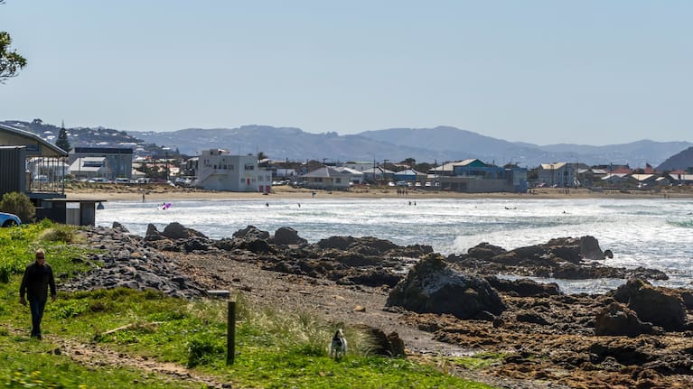 Wellington's Lyall Bay is no stranger to a fresh breeze.