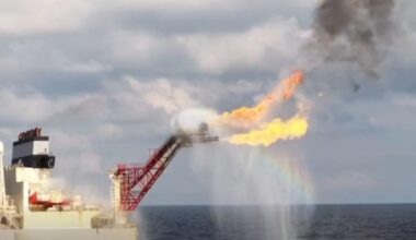 Natural gas discovered at Malampaya East 1