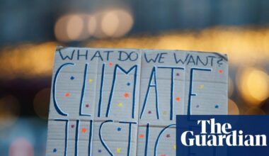 Greenwashing, illegality and false claims: 13 climate litigation wins in 2025 • Legal action has brought important decisions, from the scrapping of fossil fuel plants to revised climate plans