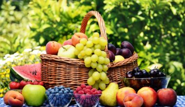 Moldovan fruit exports to EU continue unhindered